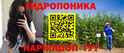 прущие грибы Балашиха