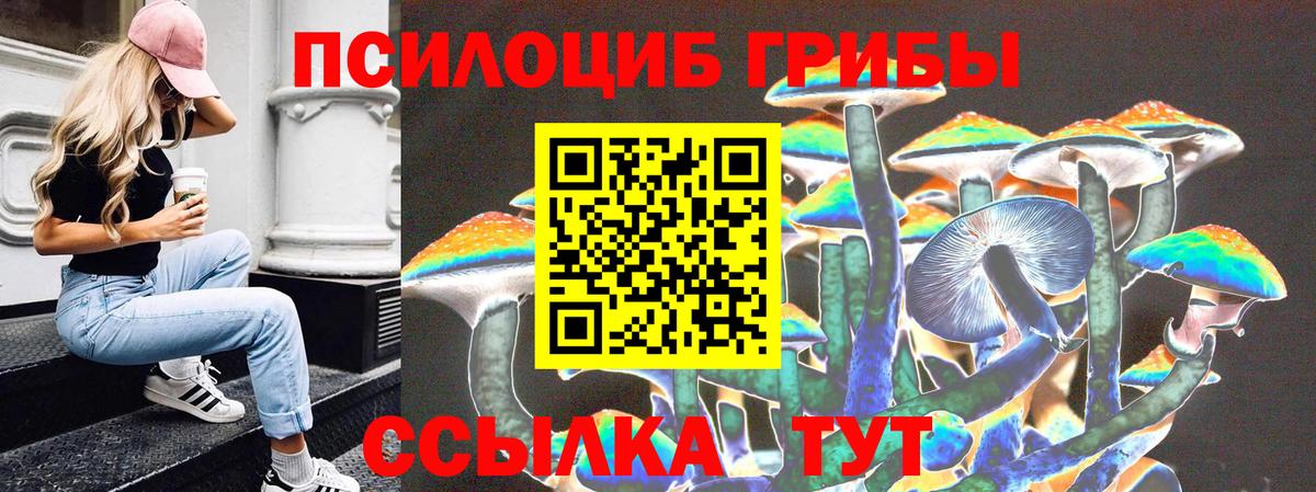 Псилоцибиновые грибы мухоморы  Вход с VPN  магазин продажи наркотиков  Городец  Галлюциногенные грибы MAGIC MUSHROOMS 
